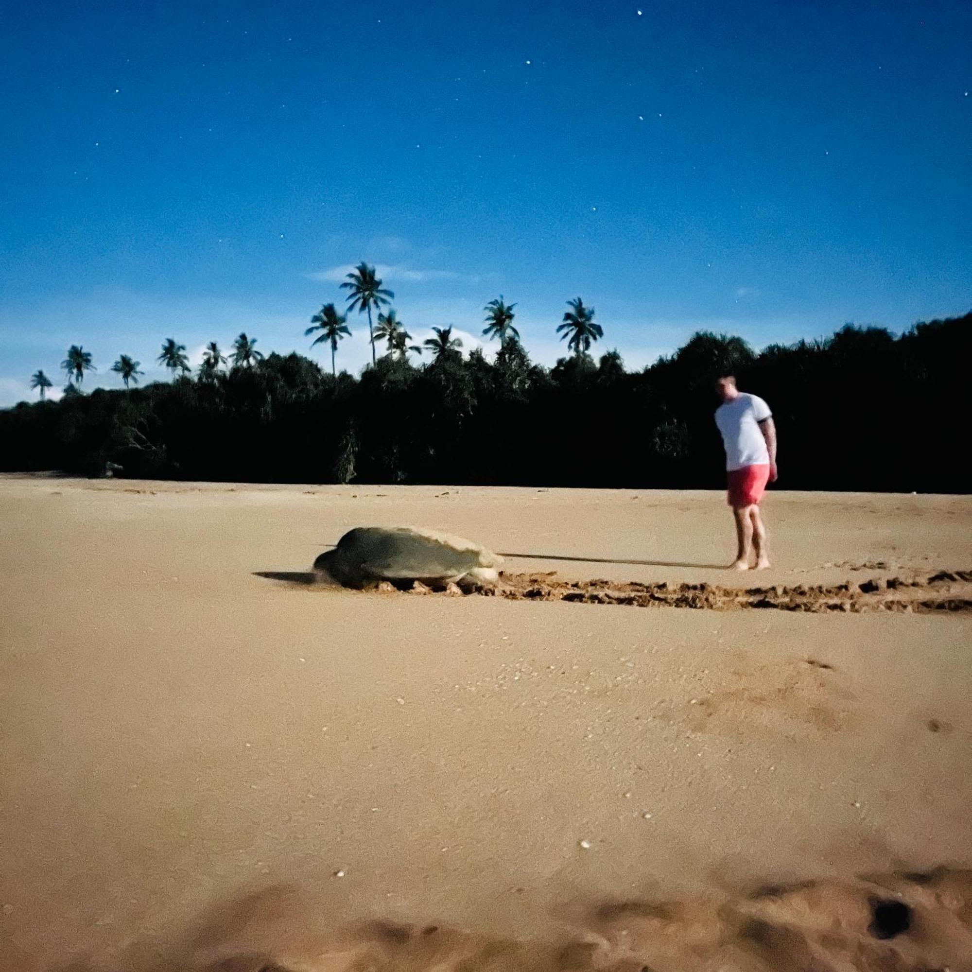 Hanguk Lanka Lagoon *