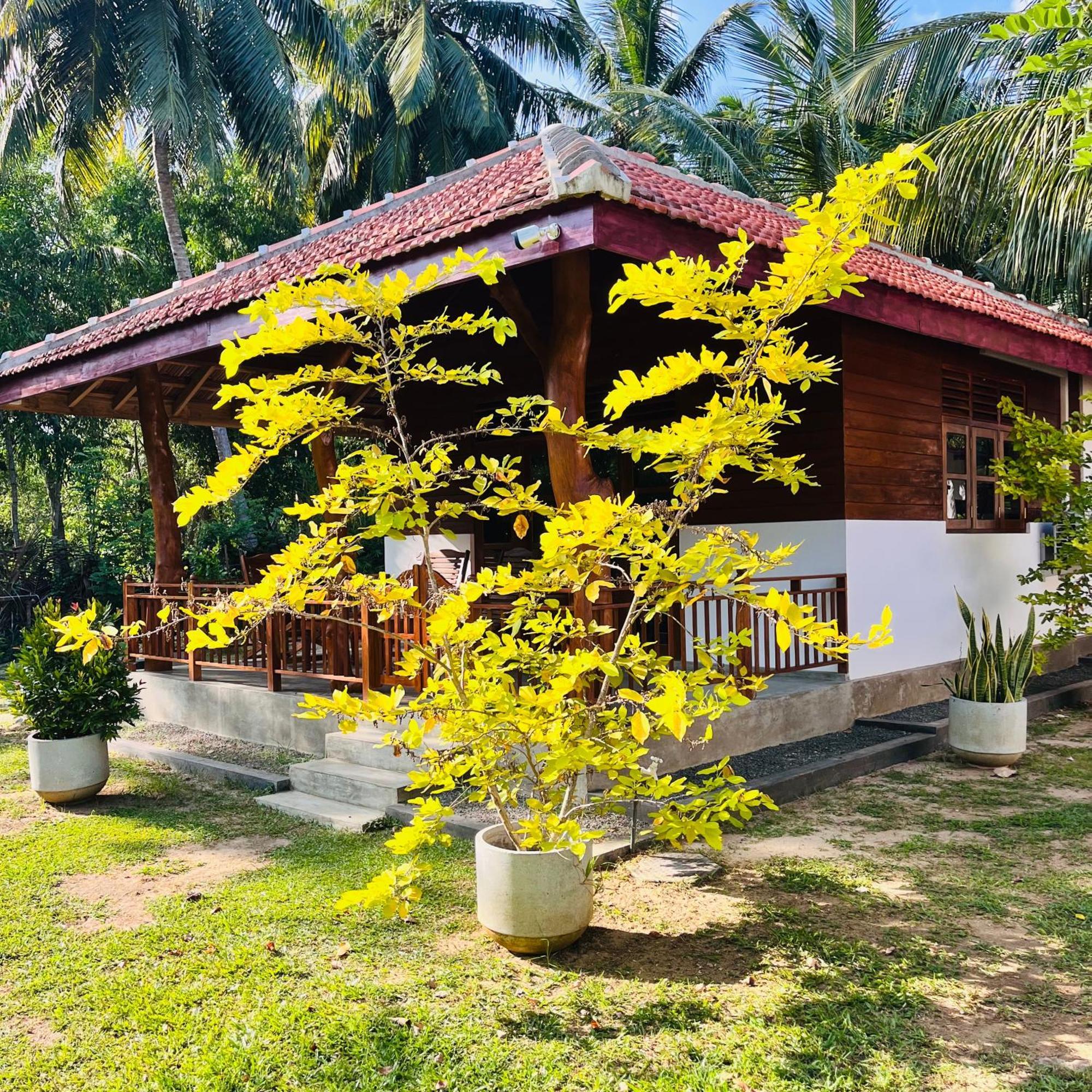 Hanguk Lanka Lagoon * Tangalle