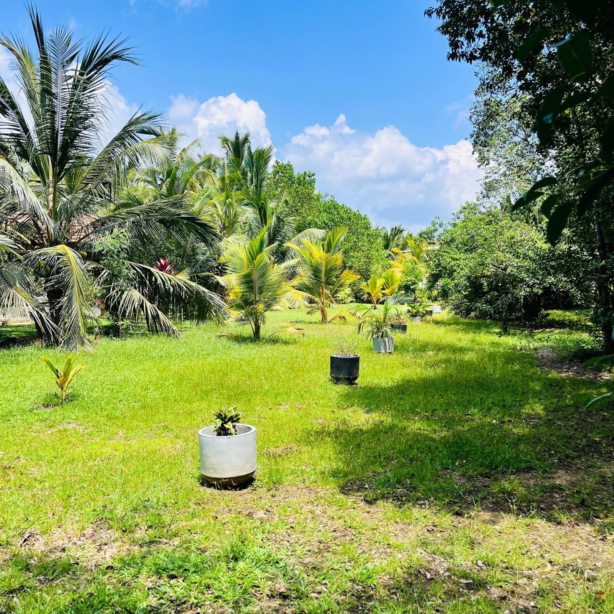 Hanguk Lanka Lagoon Villa Tangalle